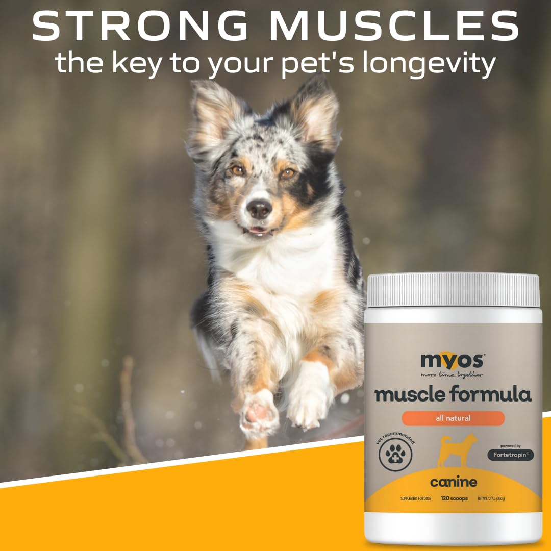 All-Natural Dog Muscle Formula 360g Q9563