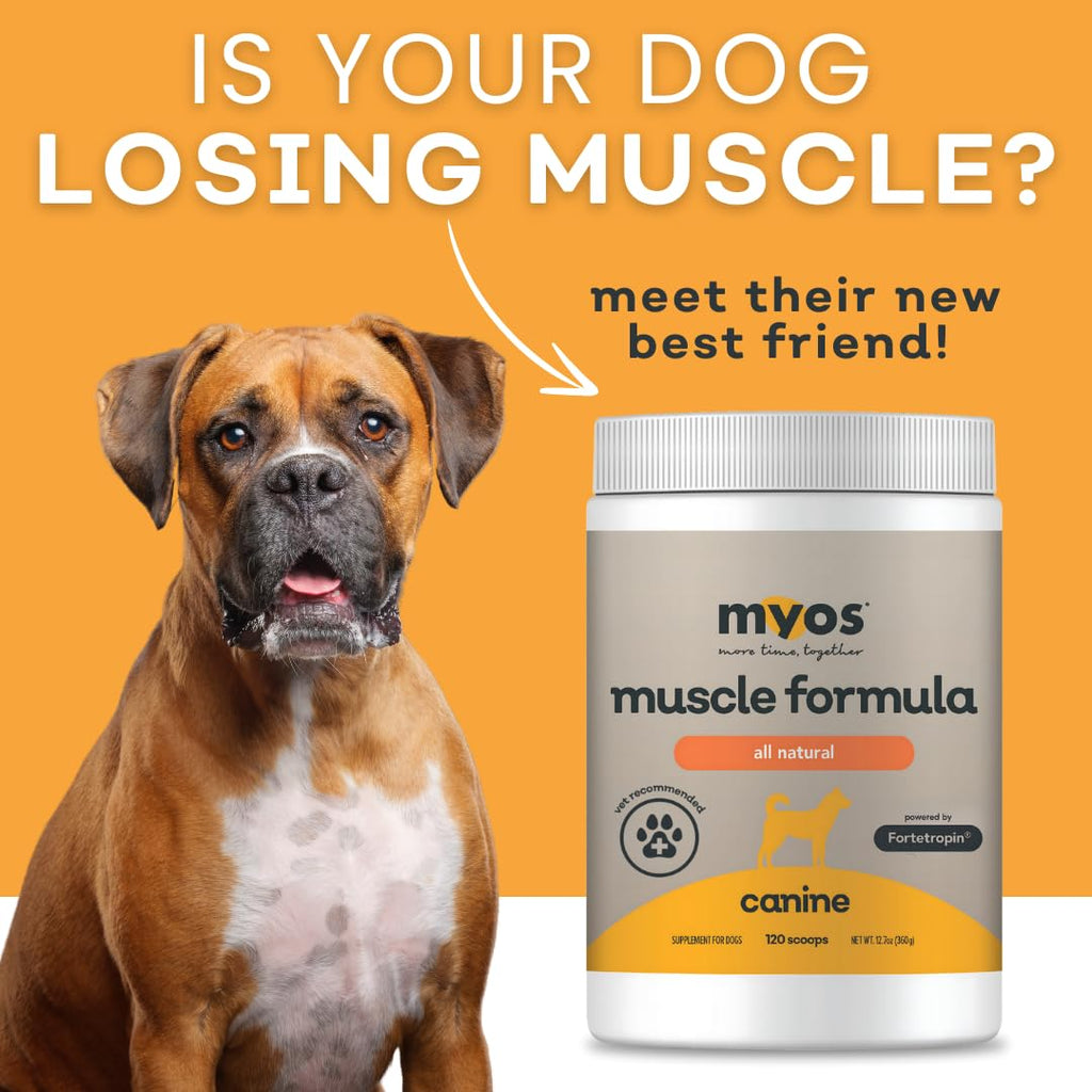 All-Natural Dog Muscle Formula 360g Q9563