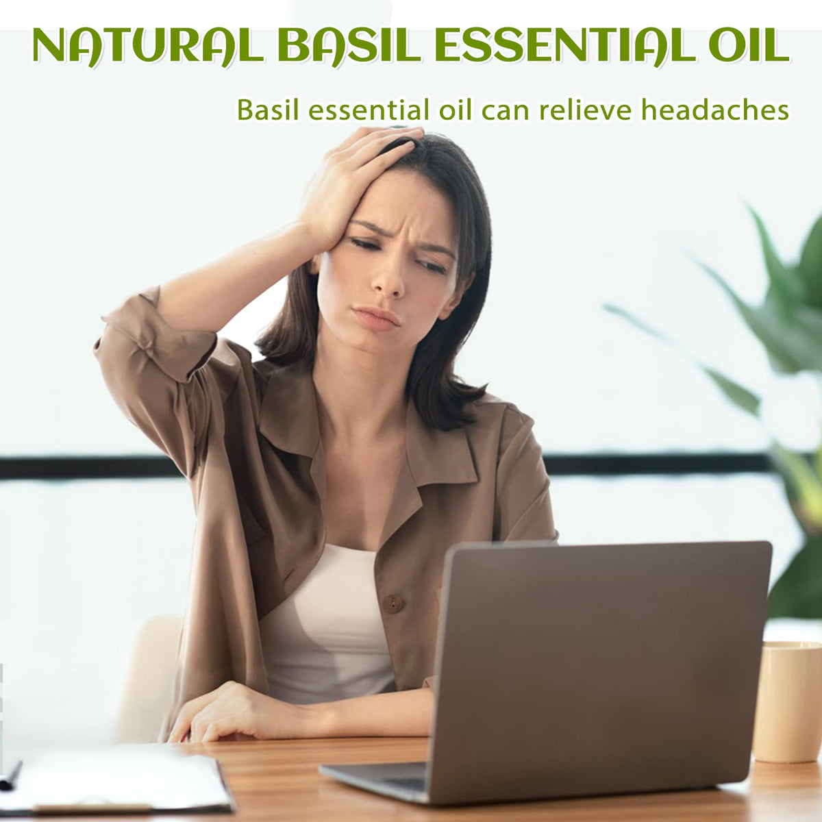 Basil and Lavender Essential Oil 4 Fl Oz M472