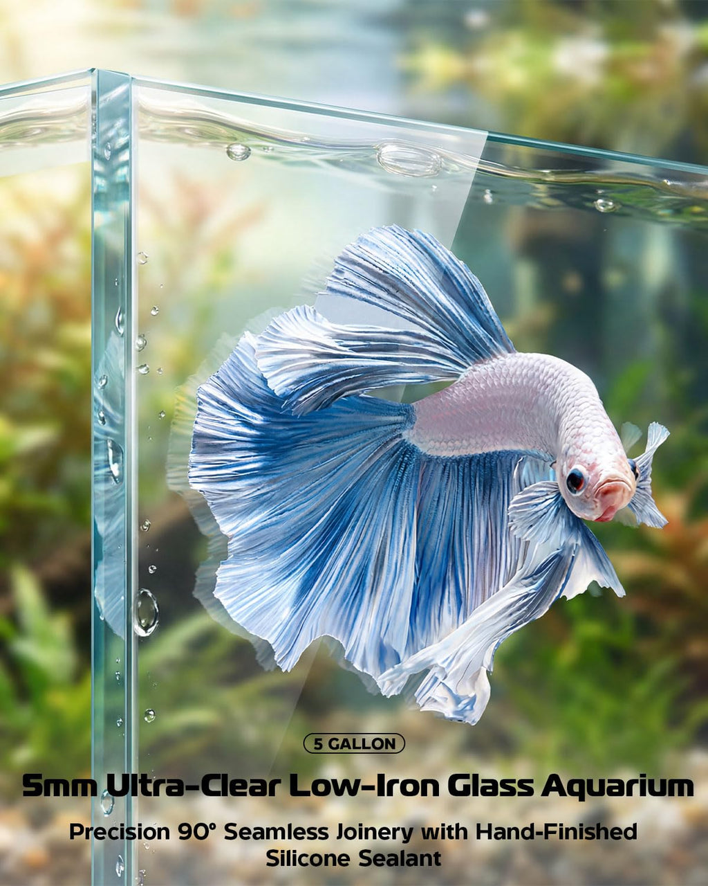 5 Gallon Glass Aquarium Starter Kit U387853