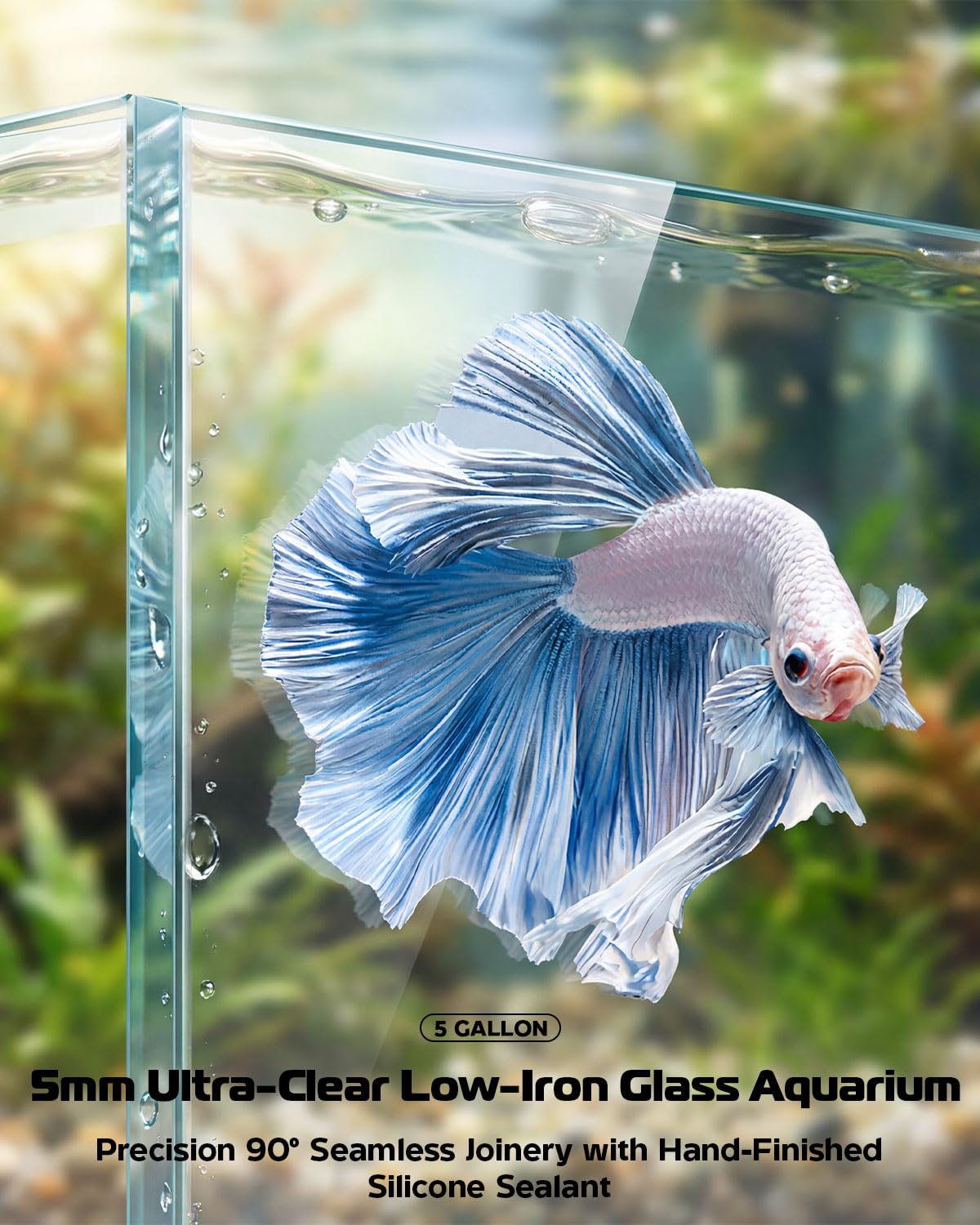 5 Gallon Glass Aquarium Starter Kit U387853