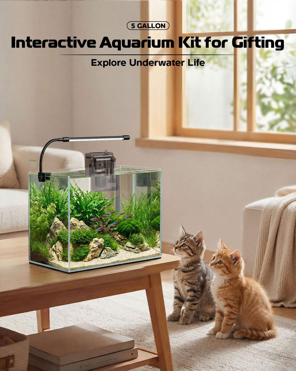 5 Gallon Glass Aquarium Starter Kit U387853