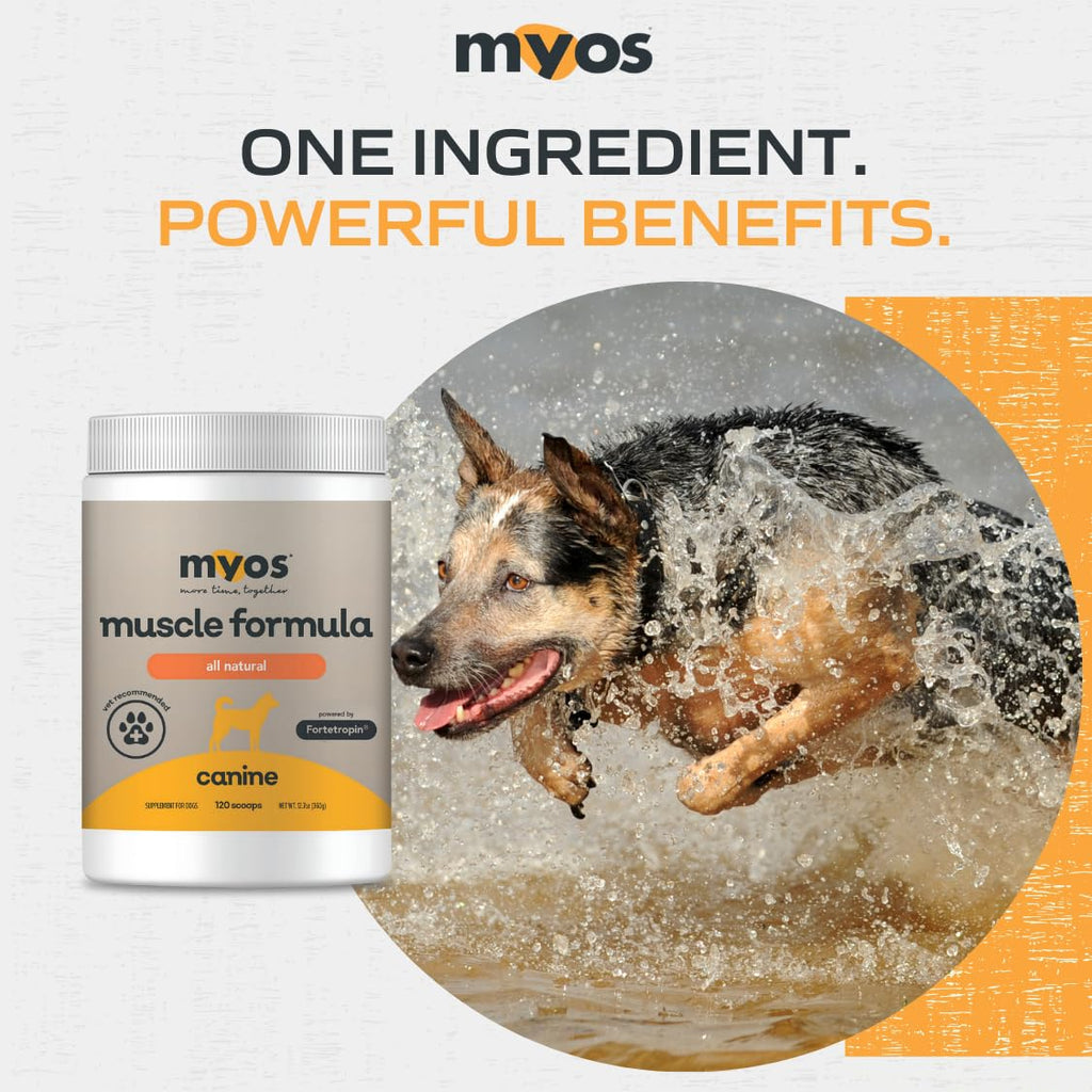 All-Natural Dog Muscle Formula 360g Q9563