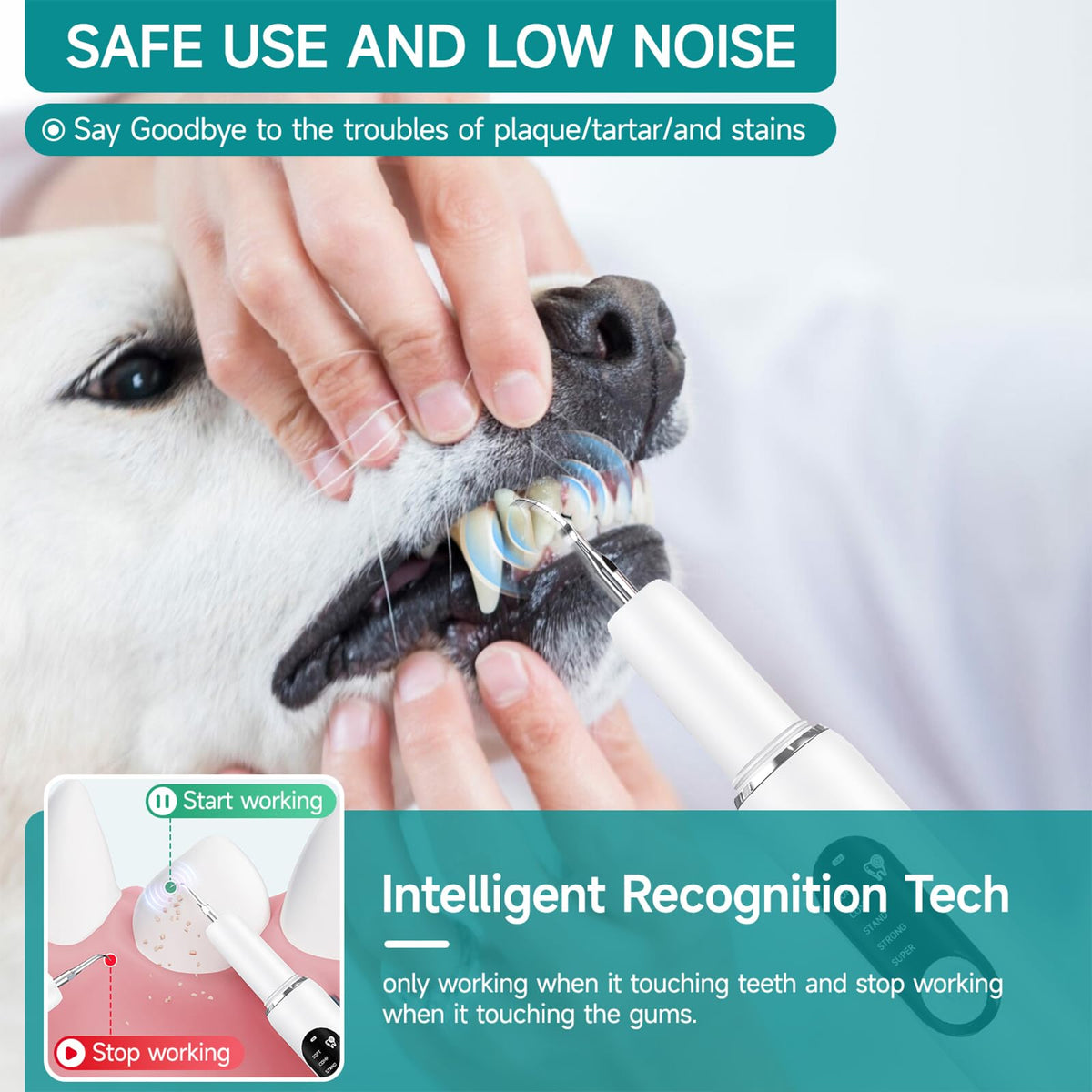 Dog Teeth Cleaning Kit with LED Light 5 Adjustable Modes Electric Toothbrush E16358