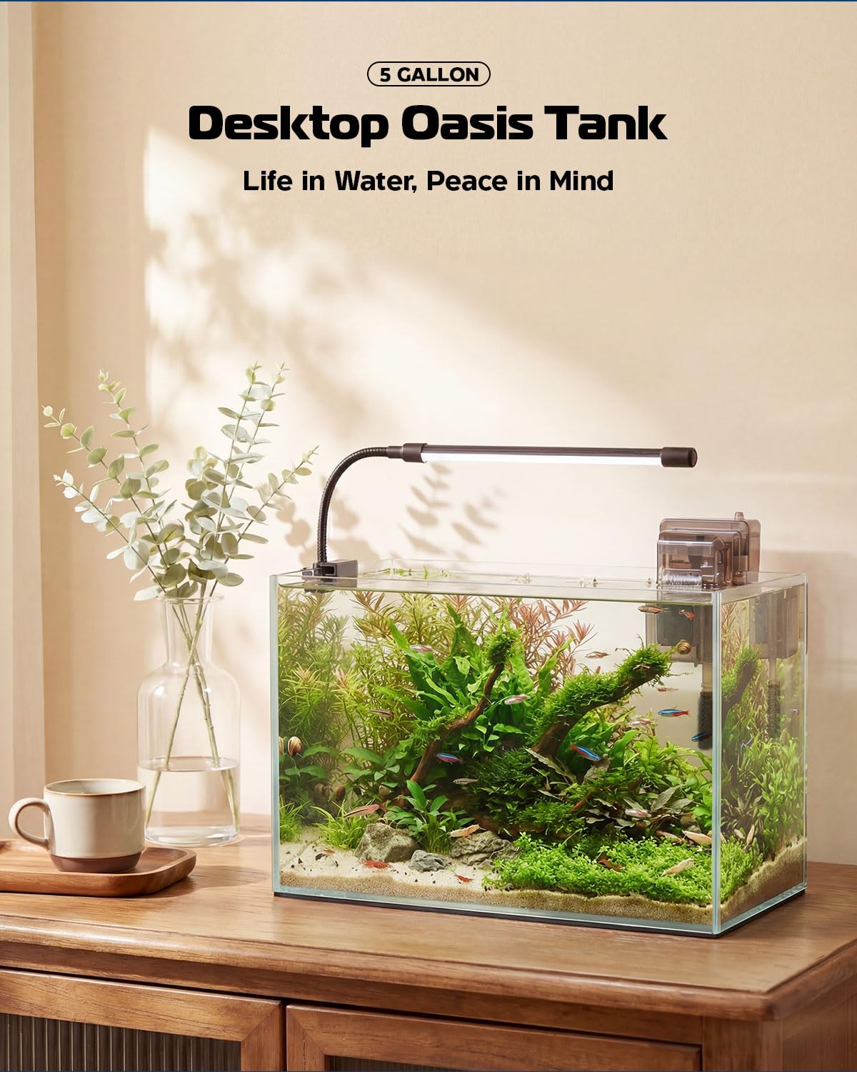 5 Gallon Glass Aquarium Starter Kit U387853