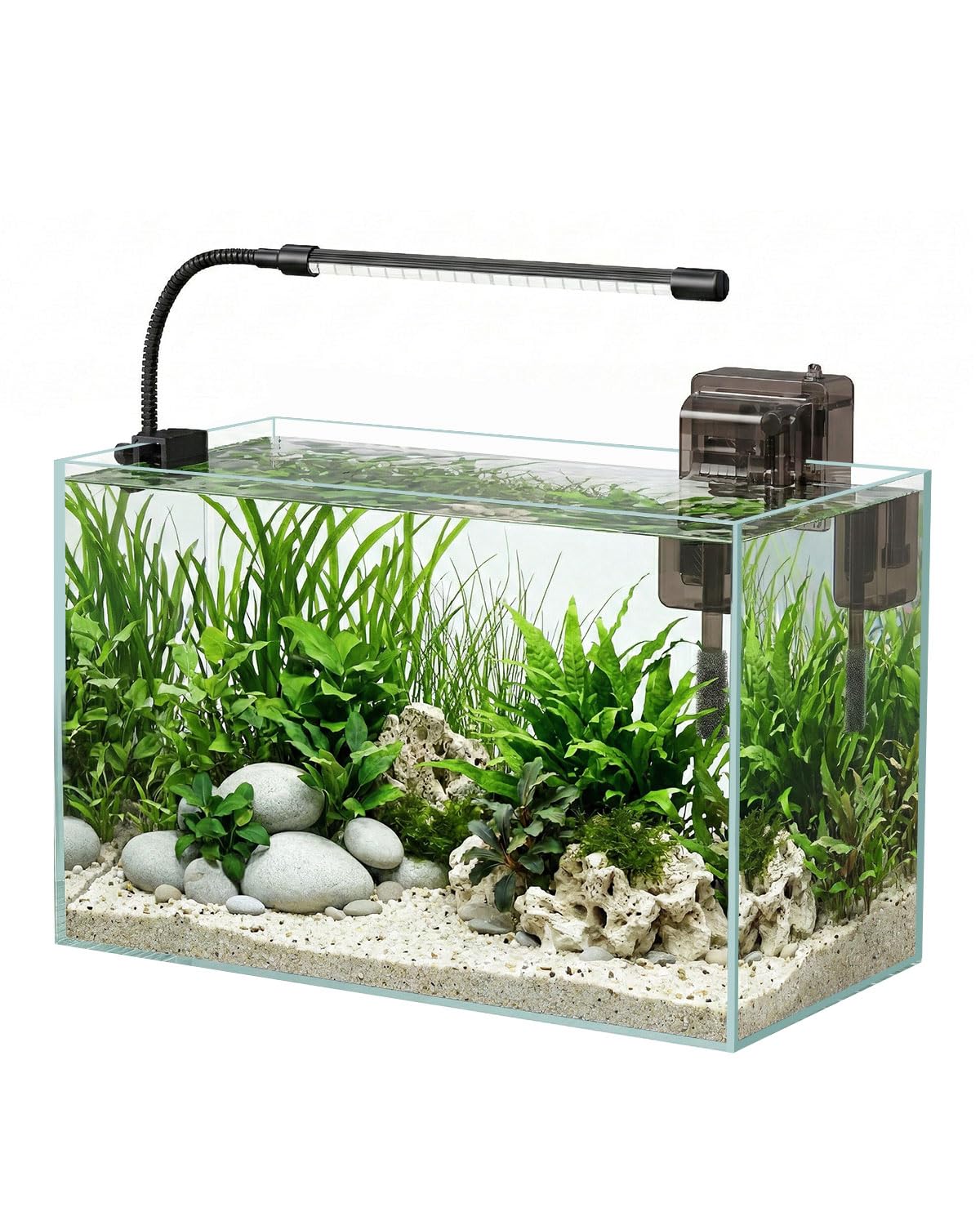 5 Gallon Glass Aquarium Starter Kit U387853