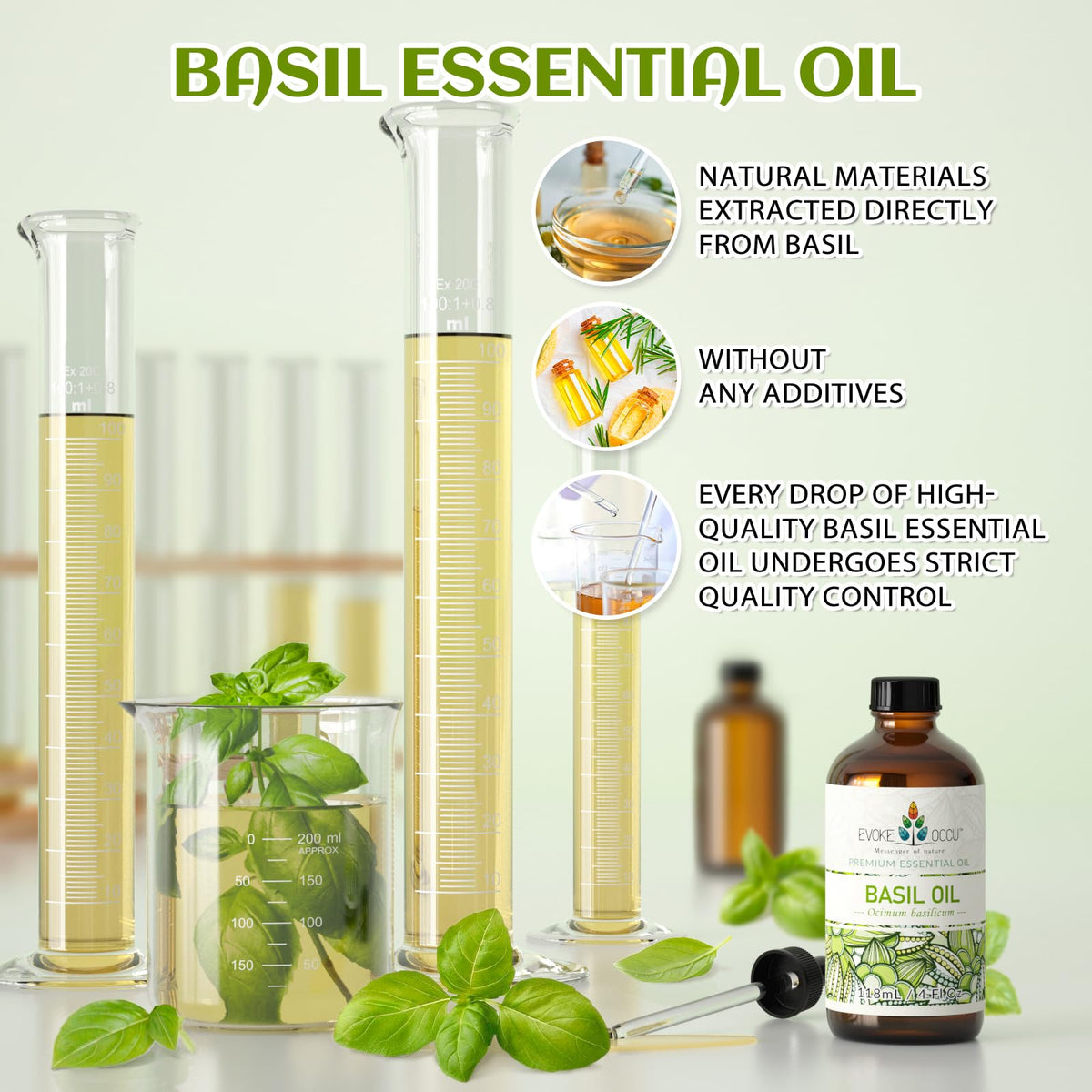 Basil and Lavender Essential Oil 4 Fl Oz M472