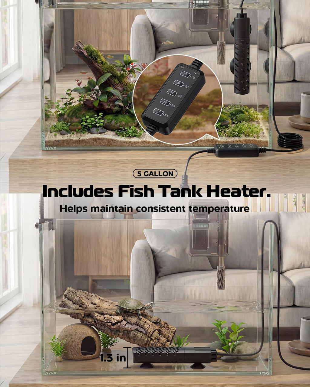 5 Gallon Glass Aquarium Starter Kit U387853