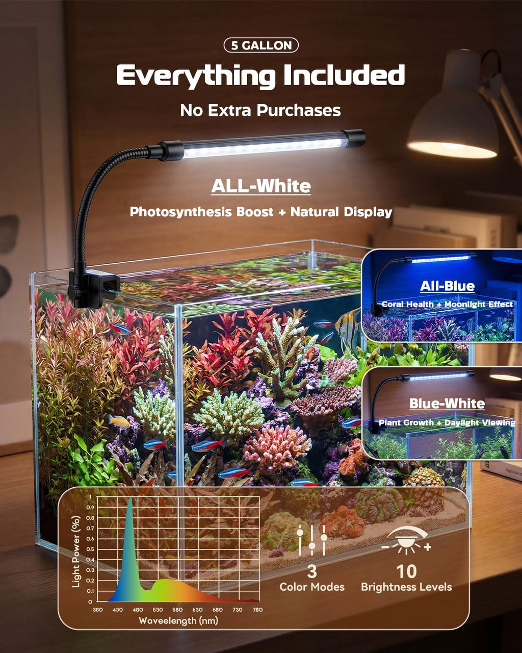 5 Gallon Glass Aquarium Starter Kit U387853