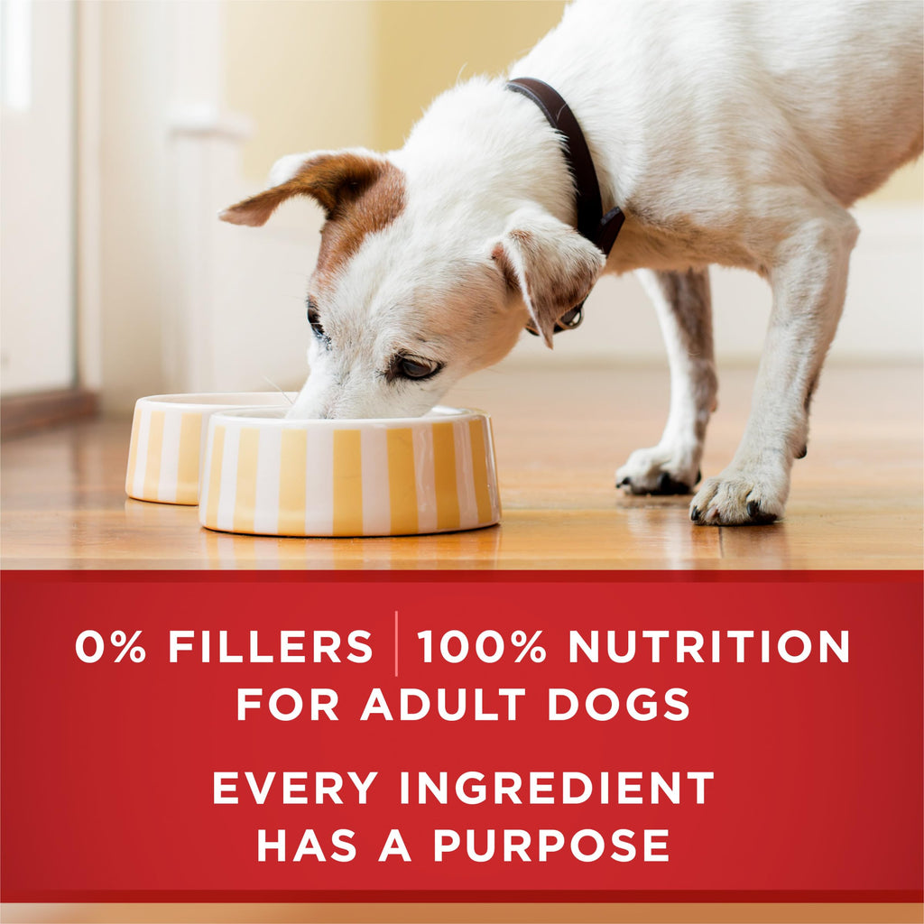 Wet Dog Food Variety Pack 6 13 oz Cans X665