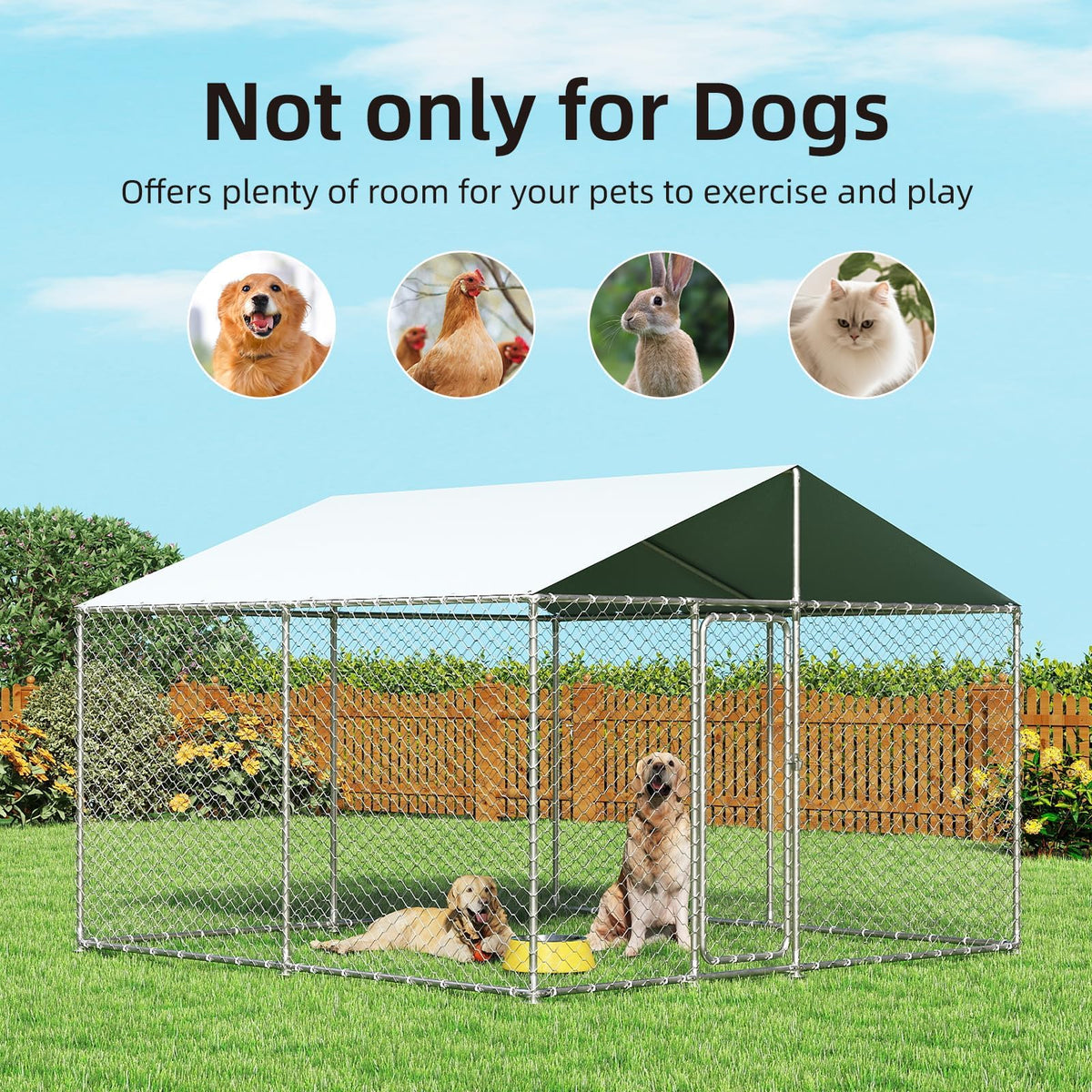 10x10 ft Heavy Duty Outdoor Dog Kennel Q56597